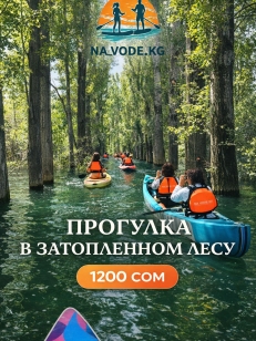 ПРОГУЛКА В ЗАТОПЛЕННОМ ЛЕСУ