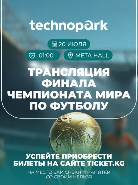 Трансляция финала чемпионата мира по футболу